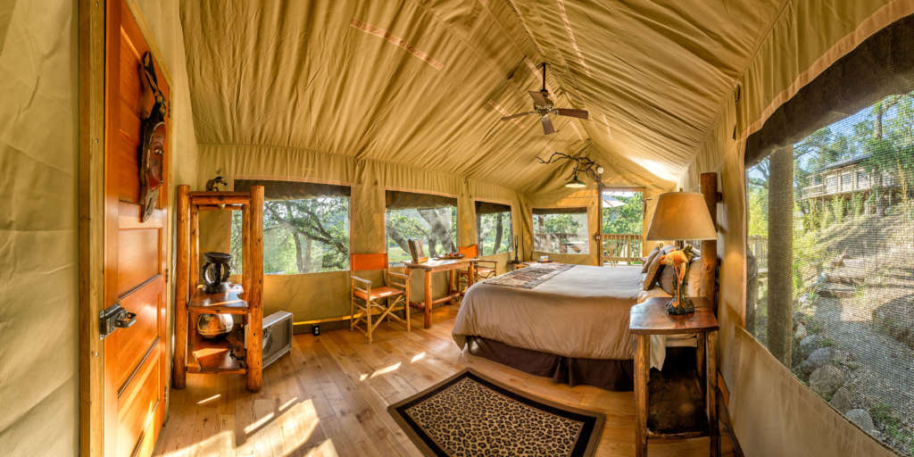 safari-west-glamping